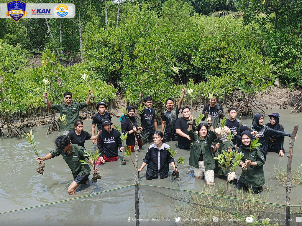 Tanam_1.000_Bibit_Mangrove_di_Pulau_Sicanang,_Belawan